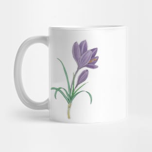 Crocus Mug